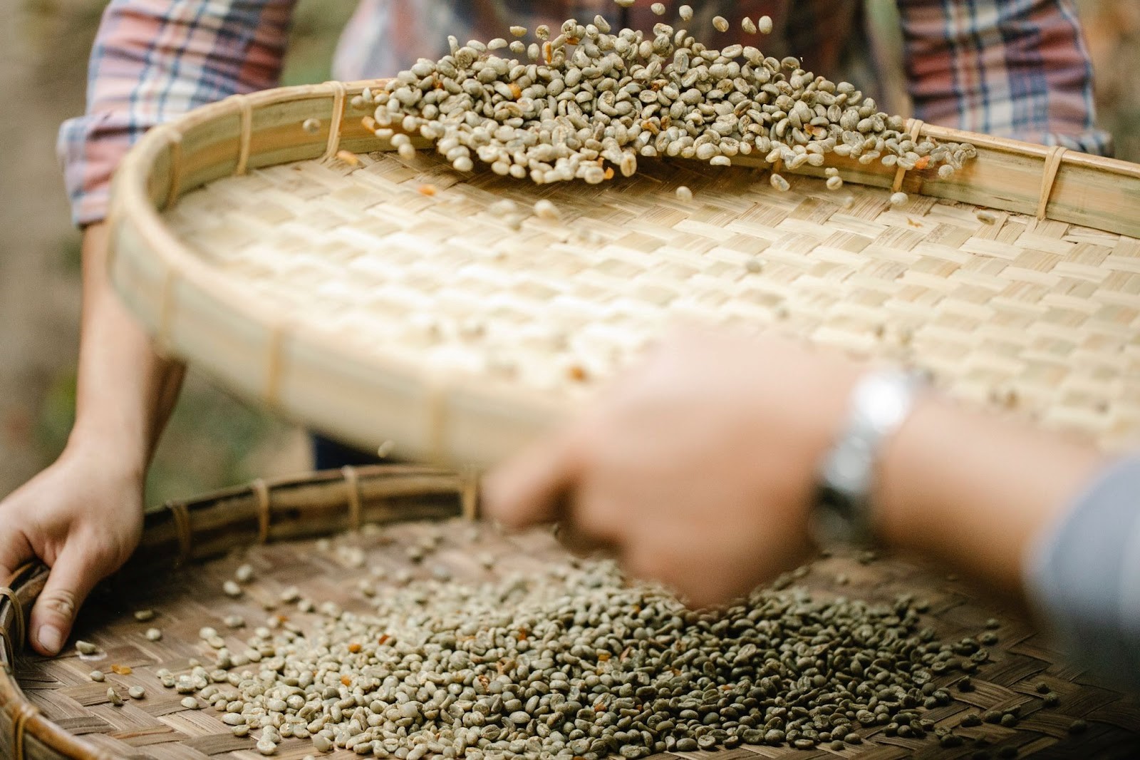 wet process coffee