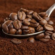 world of coffee indonesia