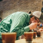 proses pengujian cupping kopi