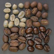mengenal level roasting