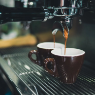 kopi organik ramah lingkungan