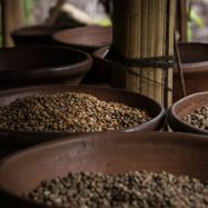 Menyimpan Biji Kopi Roasted yang Baik, Ini Caranya!